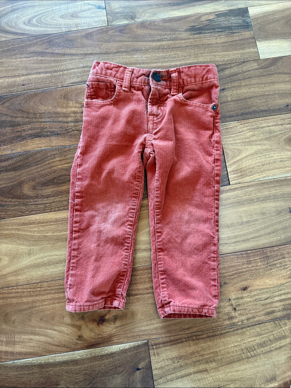 GAP Corduroy Pants in Terracotta
